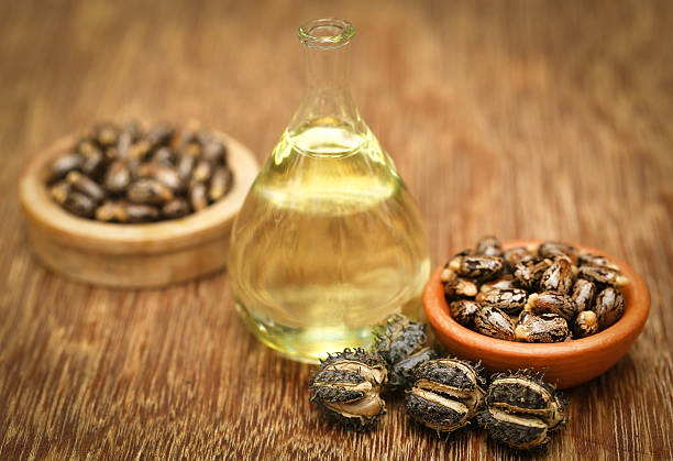 Castor beans and oil in a glass jar