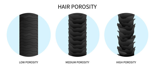 Porosity of afro hair